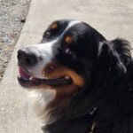 Testimonials 7681743141427580665